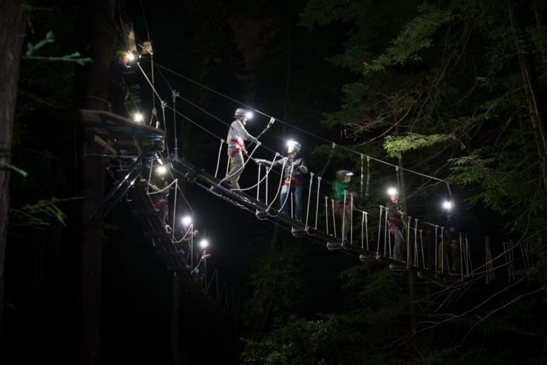 Rope Bridge at NIght Storyland Studios