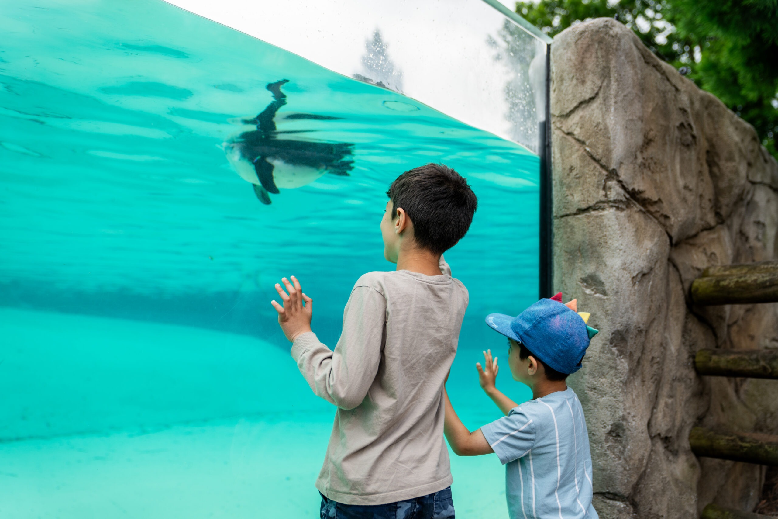 Photo courtesy of Chester Zoo